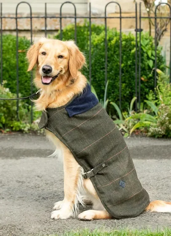 HUGO & HUDSON x HACKETT Палто за кучета, кадифена яка, тъмнозелено карирано рибена кост M45 — снимка 7