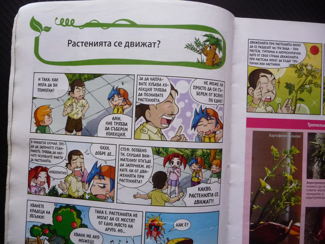 Защо? Растенията комикс забавно запознаване децата със света дървета храсти цветя водорасли билки фл — снимка 2