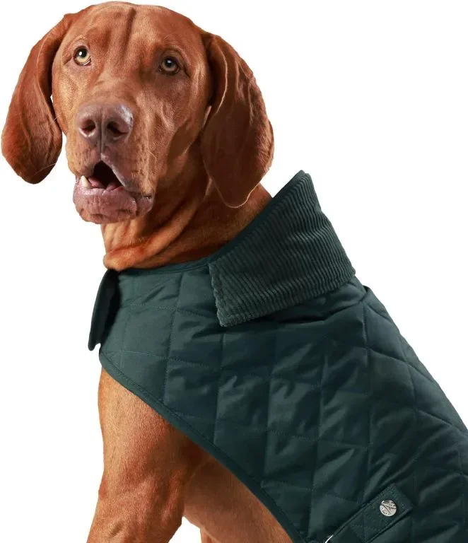 HUGO & HUDSON x HACKETT Капитонирано яке за кучета, зимно палто с кадифена яка, горско зелено M 40
