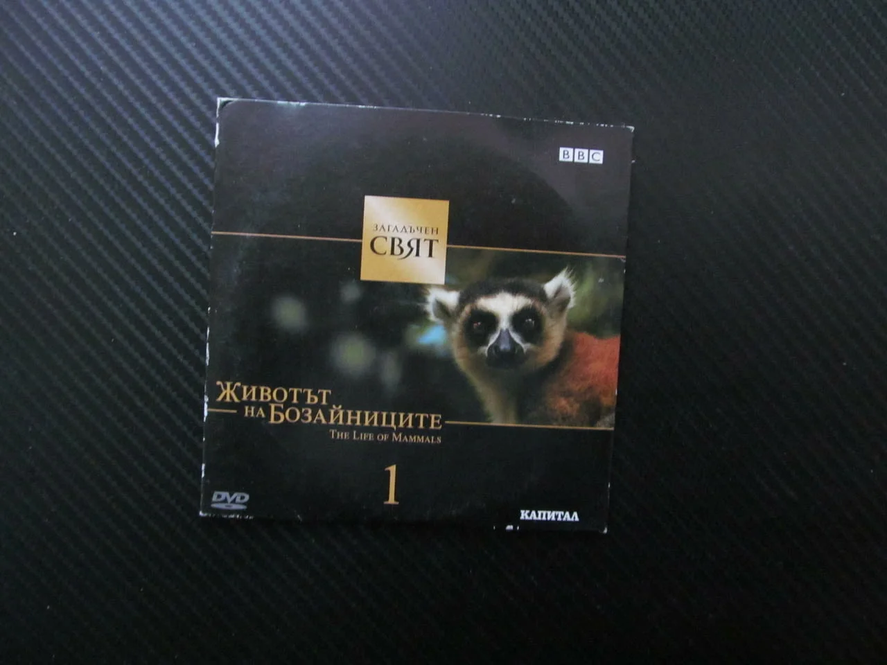 Животът на бозайниците 1 DVD филм сполучлив дизайн ловци на насекоми Загадъчен свят торбести BBC нау