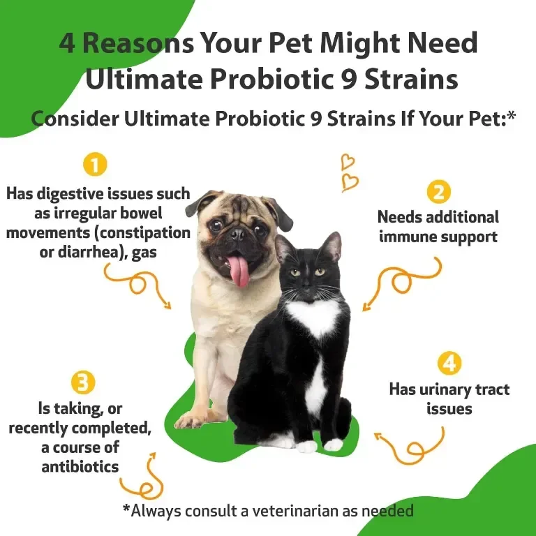 Pet Wellbeing Ultimate Probiotic 9 щама за кучета и котки - Здравословно храносмилане, 320 гр, прах